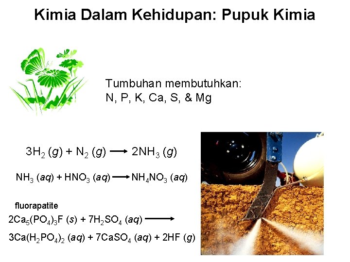 Kimia Dalam Kehidupan: Pupuk Kimia Tumbuhan membutuhkan: N, P, K, Ca, S, & Mg