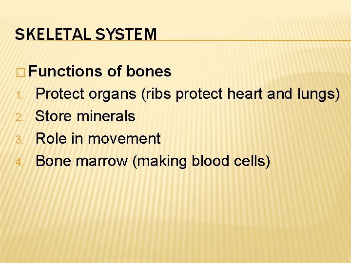 SKELETAL SYSTEM � Functions 1. 2. 3. 4. of bones Protect organs (ribs protect
