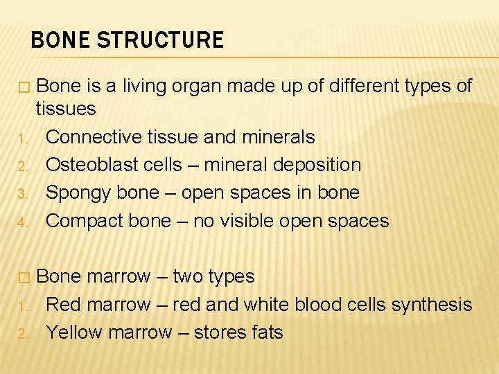 BONE STRUCTURE � 1. 2. 3. 4. � 1. 2. Bone is a living