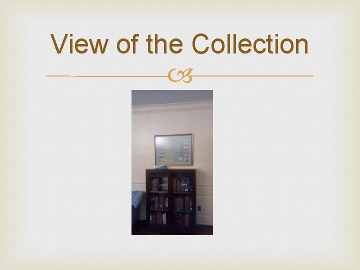View of the Collection 
