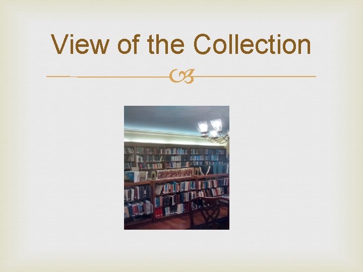 View of the Collection 