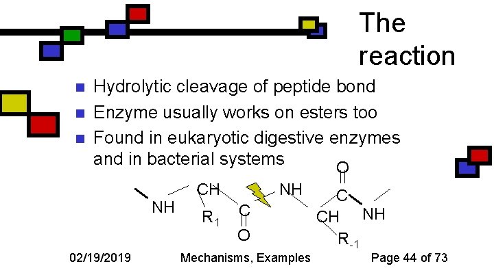The reaction n Hydrolytic cleavage of peptide bond Enzyme usually works on esters too
