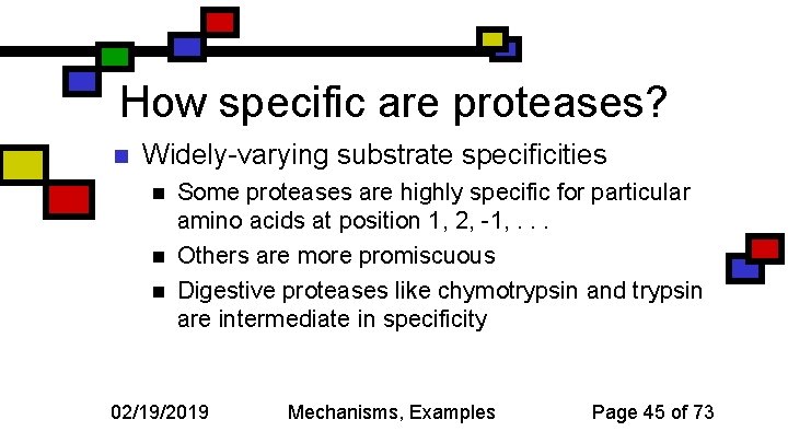 How specific are proteases? n Widely-varying substrate specificities n n n Some proteases are