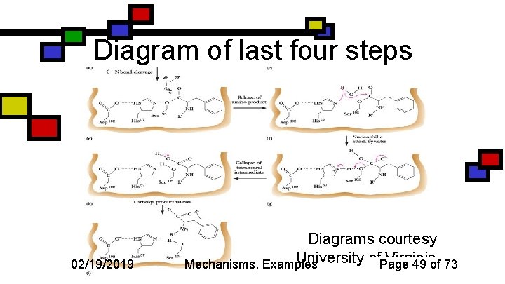 Diagram of last four steps 02/19/2019 Diagrams courtesy University of. Page Virginia 49 of