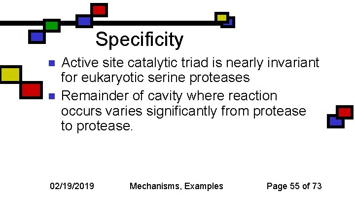 Specificity n n Active site catalytic triad is nearly invariant for eukaryotic serine proteases