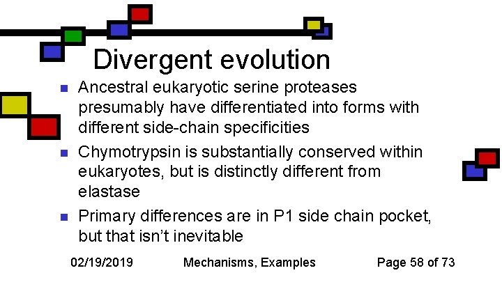 Divergent evolution n Ancestral eukaryotic serine proteases presumably have differentiated into forms with different