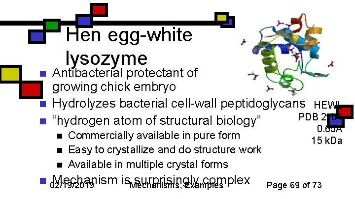 n n n Hen egg-white lysozyme Antibacterial protectant of growing chick embryo Hydrolyzes bacterial