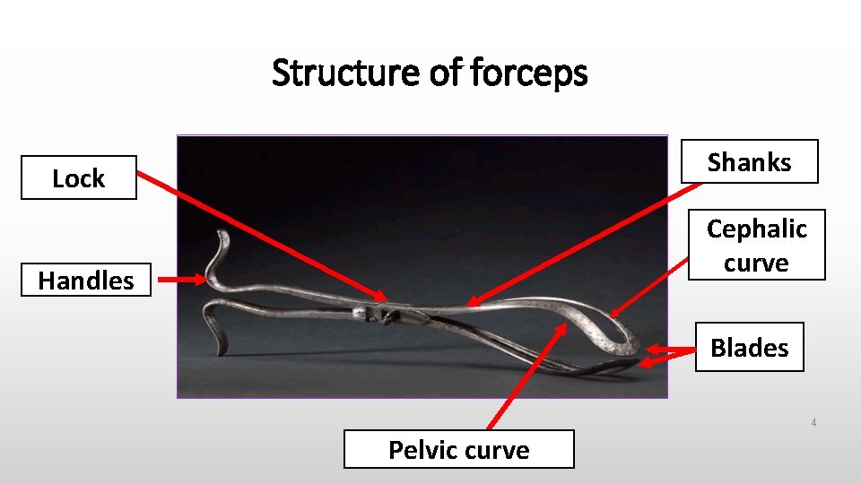 Structure of forceps Shanks Lock Cephalic curve Handles Blades 4 Pelvic curve 