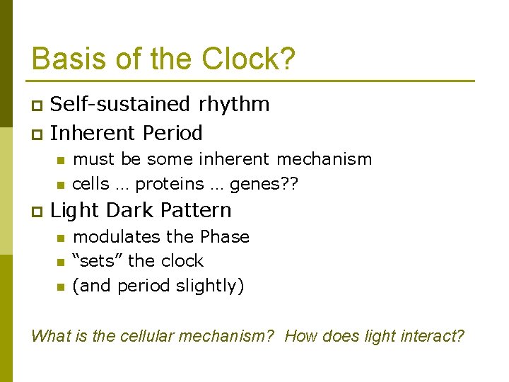 Basis of the Clock? Self-sustained rhythm p Inherent Period p n n p must