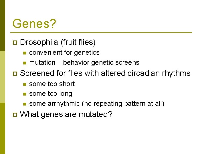 Genes? p Drosophila (fruit flies) n n p Screened for flies with altered circadian