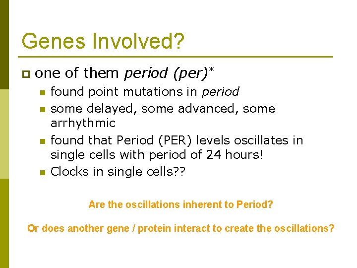 Genes Involved? p one of them period (per)* n n found point mutations in