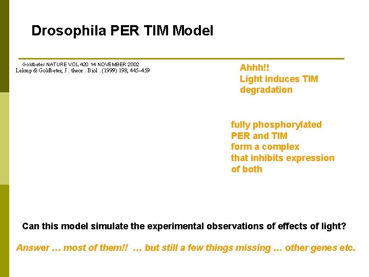 Drosophila PER TIM Model Goldbeter NATURE VOL 420 14 NOVEMBER 2002 Leloup & Goldbeter,