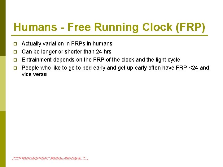 Humans - Free Running Clock (FRP) p p Actually variation in FRPs in humans