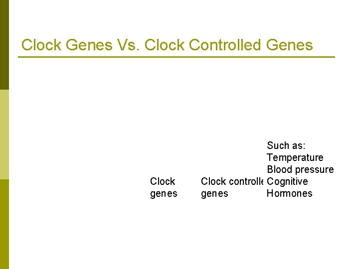 Clock Genes Vs. Clock Controlled Genes Clock genes Such as: Temperature Blood pressure Clock