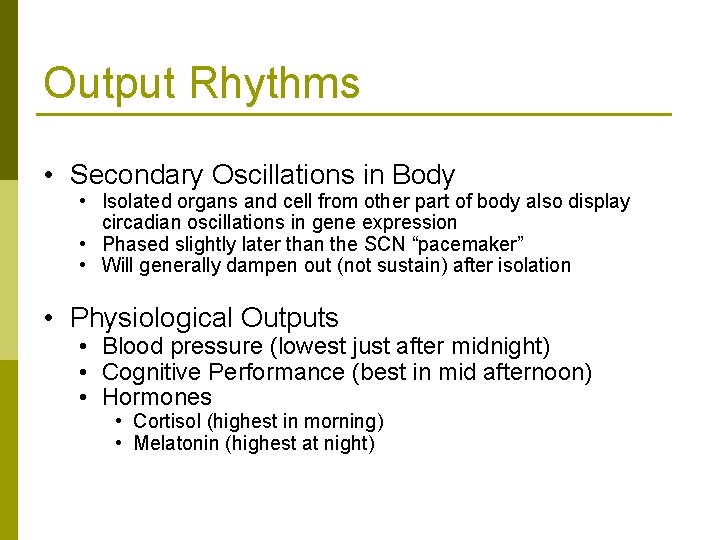 Output Rhythms • Secondary Oscillations in Body • Isolated organs and cell from other