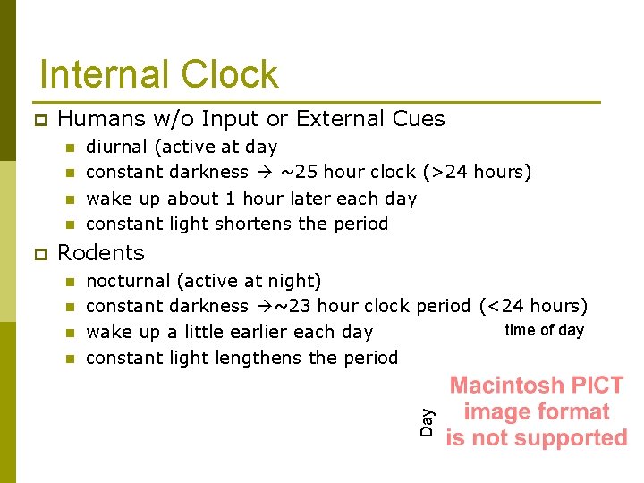 Internal Clock Humans w/o Input or External Cues n n p diurnal (active at