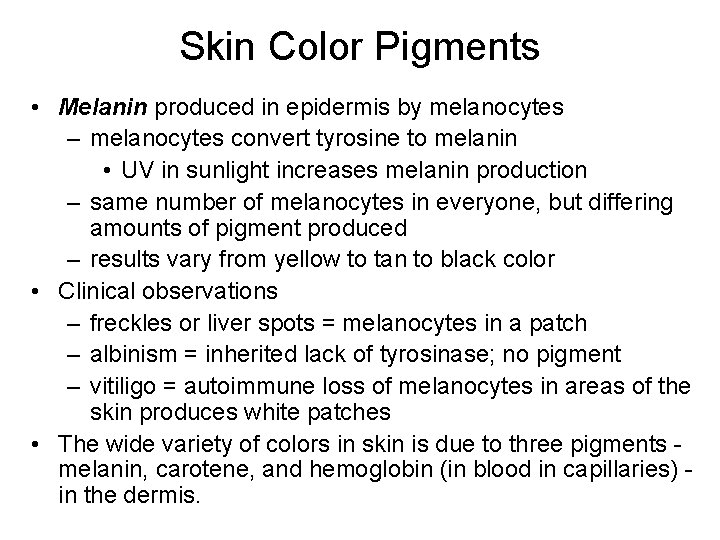 Skin Color Pigments • Melanin produced in epidermis by melanocytes – melanocytes convert tyrosine