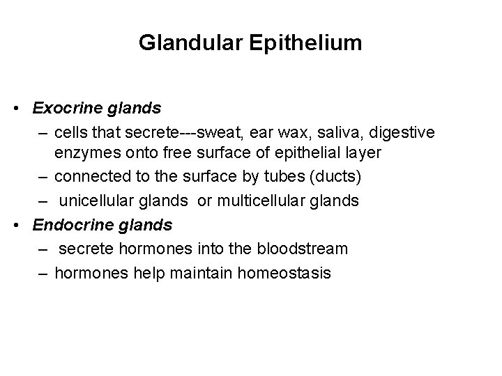 Glandular Epithelium • Exocrine glands – cells that secrete---sweat, ear wax, saliva, digestive enzymes