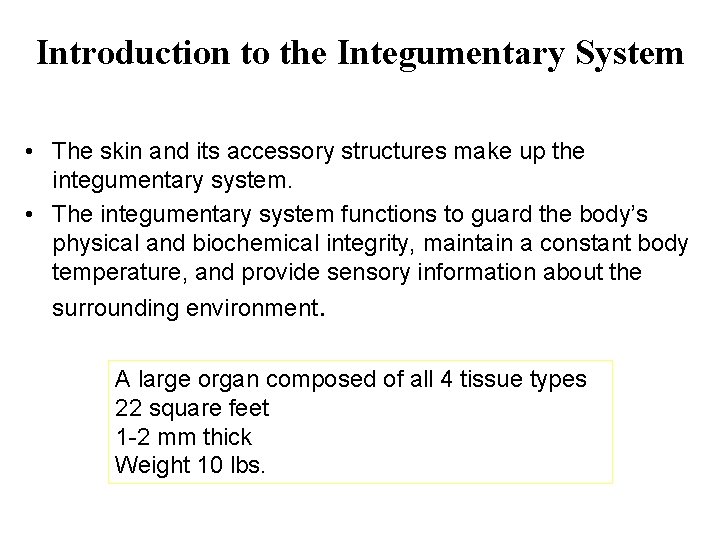 Introduction to the Integumentary System • The skin and its accessory structures make up