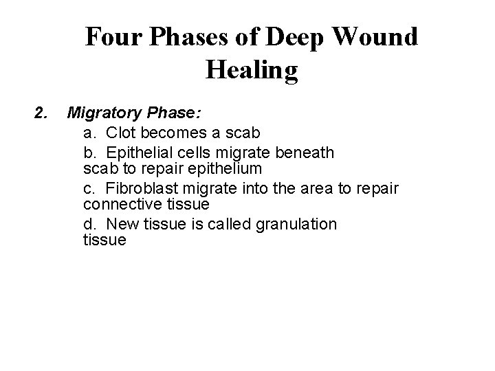 Four Phases of Deep Wound Healing 2. Migratory Phase: a. Clot becomes a scab