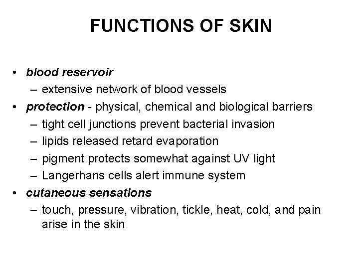 FUNCTIONS OF SKIN • blood reservoir – extensive network of blood vessels • protection