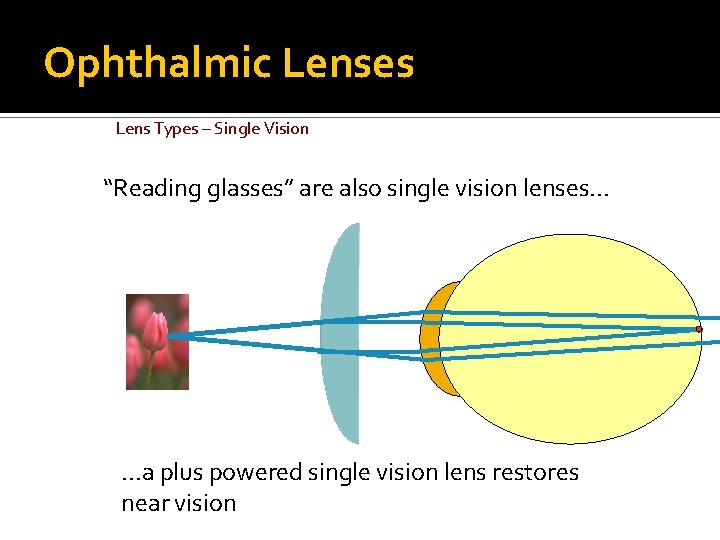 Ophthalmic Lenses Lens Types – Single Vision “Reading glasses” are also single vision lenses.