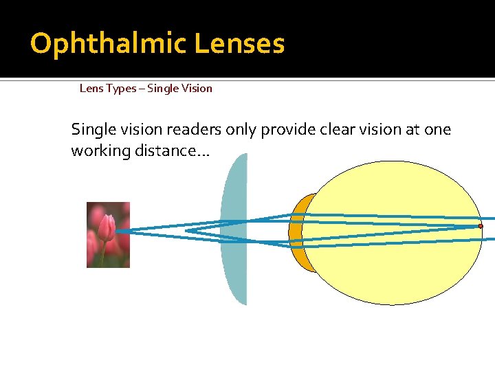 Ophthalmic Lenses Lens Types – Single Vision Single vision readers only provide clear vision