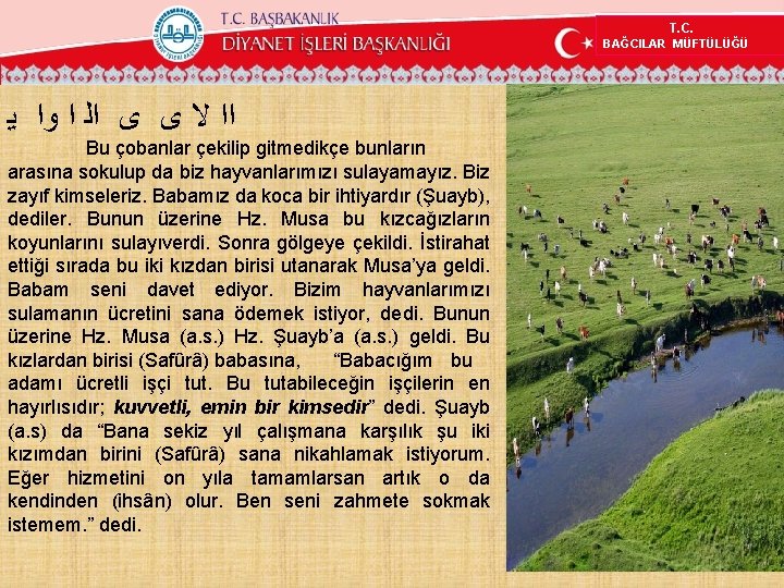 T. C. BAĞCILAR MÜFTÜLÜĞÜ ﺍﺍ ﻻ ﻯ ﻯ ﺍﻟ ﺍ ﻭﺍ ﻳ Bu çobanlar