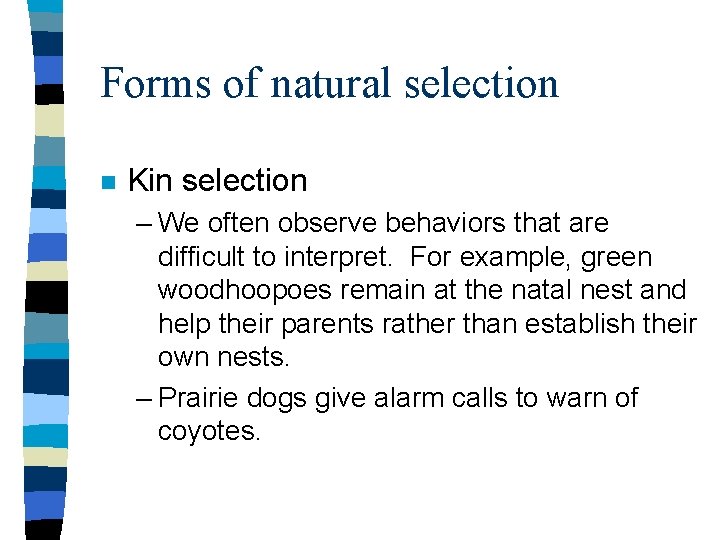 Forms of natural selection n Kin selection – We often observe behaviors that are