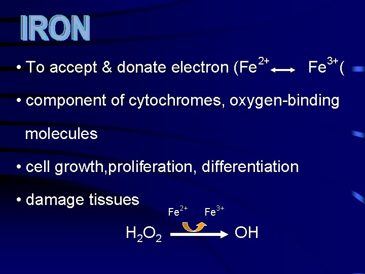  • To accept & donate electron (Fe 2+ 3+ Fe ( • component