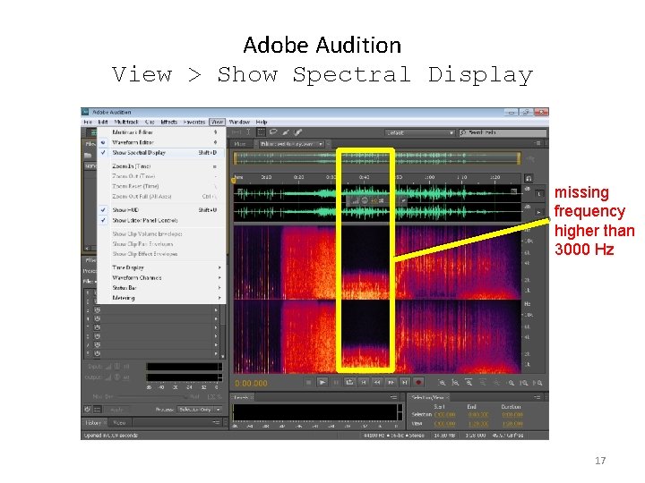 Adobe Audition View > Show Spectral Display missing frequency higher than 3000 Hz 17