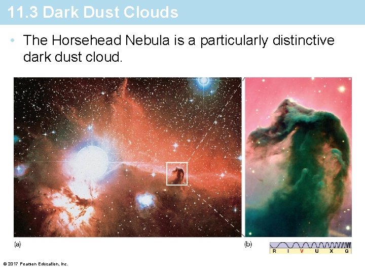11. 3 Dark Dust Clouds • The Horsehead Nebula is a particularly distinctive dark