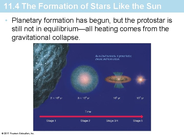 11. 4 The Formation of Stars Like the Sun • Planetary formation has begun,