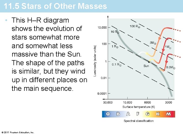 11. 5 Stars of Other Masses • This H–R diagram shows the evolution of