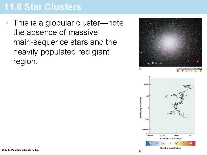 11. 6 Star Clusters • This is a globular cluster—note the absence of massive