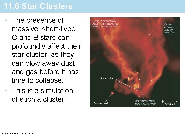 11. 6 Star Clusters • The presence of massive, short-lived O and B stars