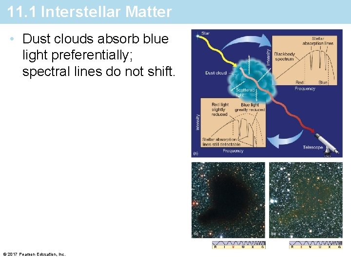 11. 1 Interstellar Matter • Dust clouds absorb blue light preferentially; spectral lines do