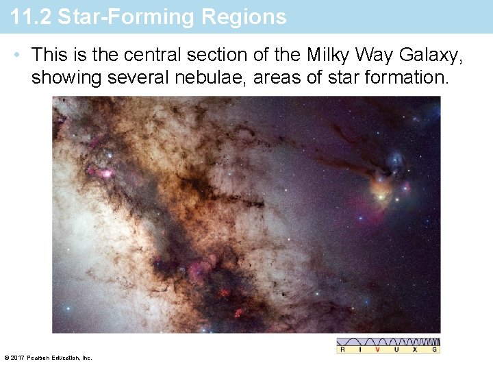 11. 2 Star-Forming Regions • This is the central section of the Milky Way