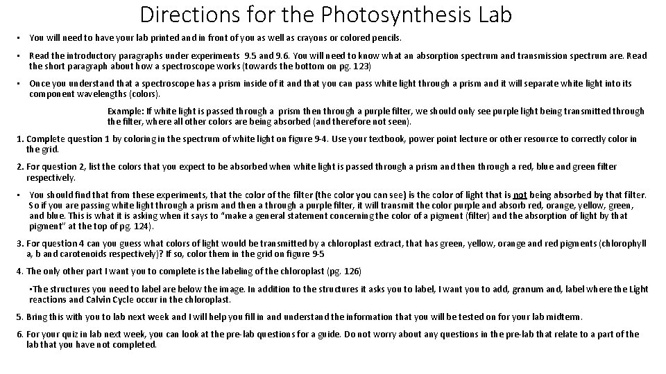 Directions for the Photosynthesis Lab • You will need to have your lab printed
