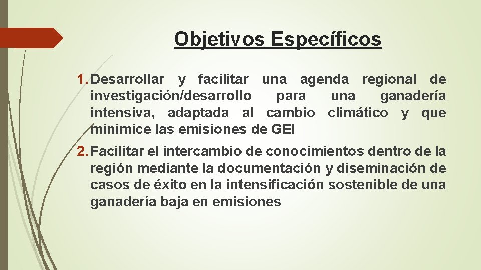 Objetivos Específicos 1. Desarrollar y facilitar una agenda regional de investigación/desarrollo para una ganadería