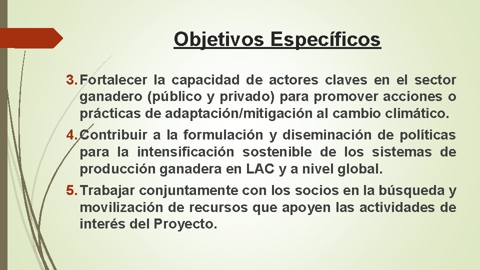 Objetivos Específicos 3. Fortalecer la capacidad de actores claves en el sector ganadero (público