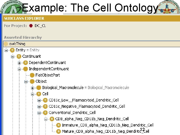 Example: The Cell Ontology national center for national ontological center for research ontological 12
