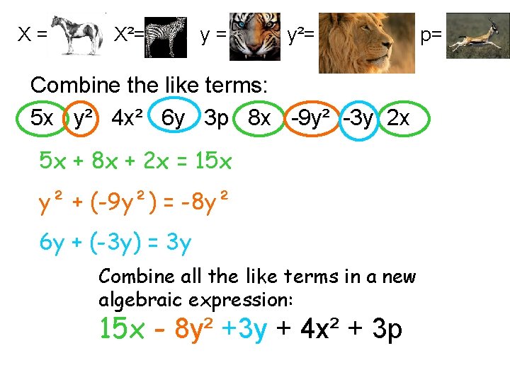 X= X²= y= y²= Combine the like terms: 5 x y² 4 x² 6