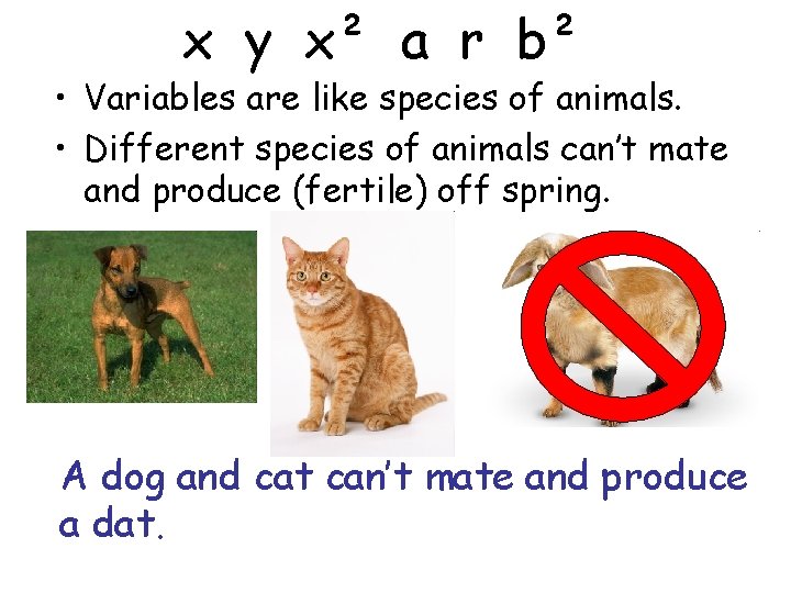 x y x² a r b² • Variables are like species of animals. •