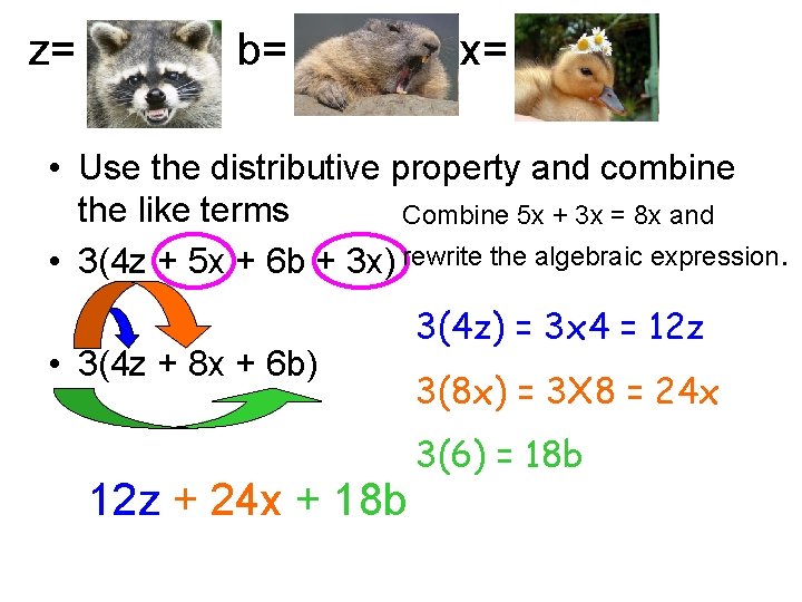 z= b= x= • Use the distributive property and combine the like terms Combine