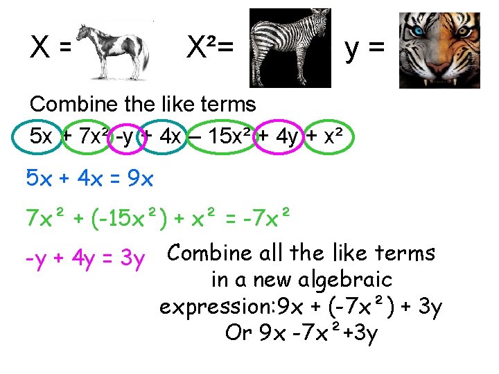 X= X²= y= Combine the like terms 5 x + 7 x² -y +