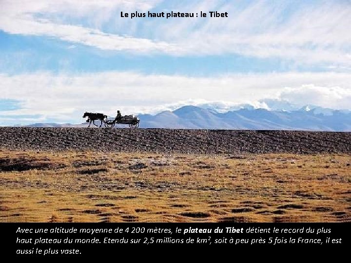 Le plus haut plateau : le Tibet Avec une altitude moyenne de 4 200