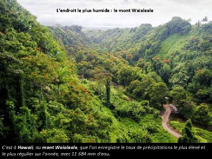 L'endroit le plus humide : le mont Waialeale C'est à Hawaii, au mont Waialeale,