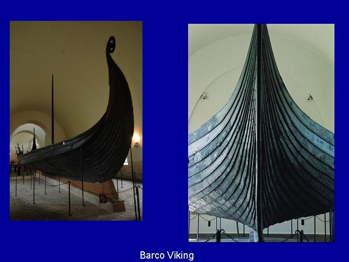 Barco Viking 
