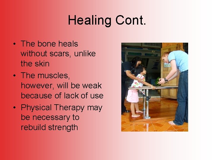 Healing Cont. • The bone heals without scars, unlike the skin • The muscles,